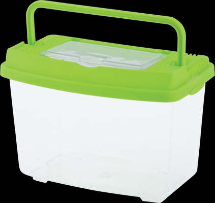 Caja de Estudio de Insectos